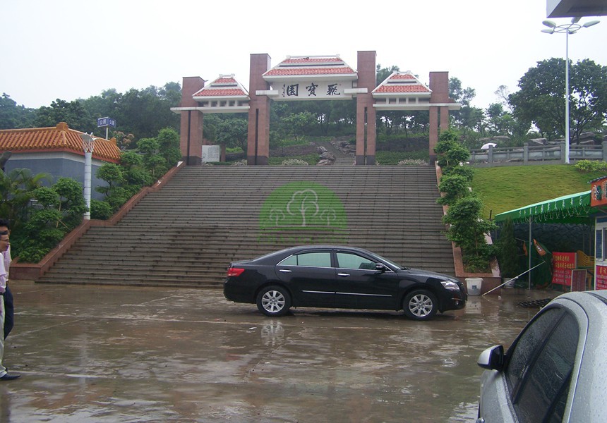 生態(tài)園林綠化城市建設