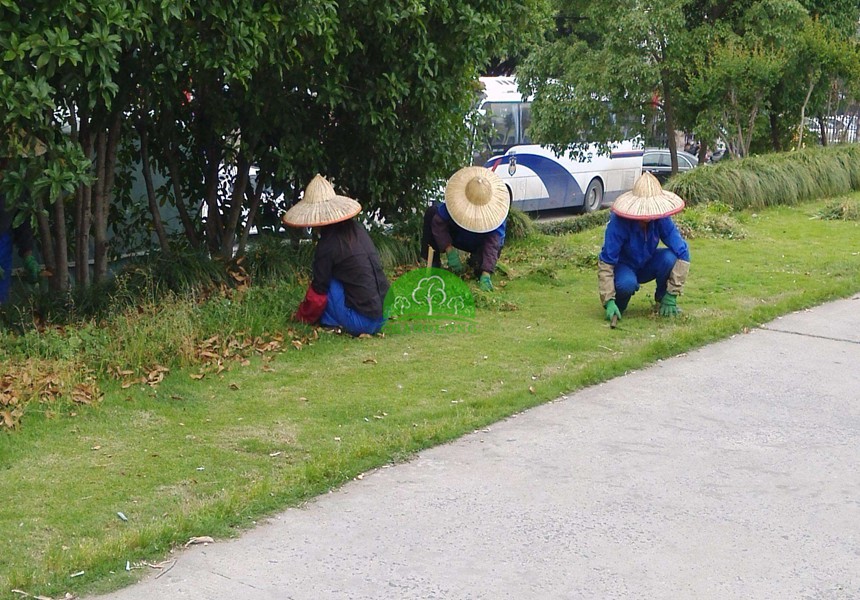 園林綠化養護標準有哪些？